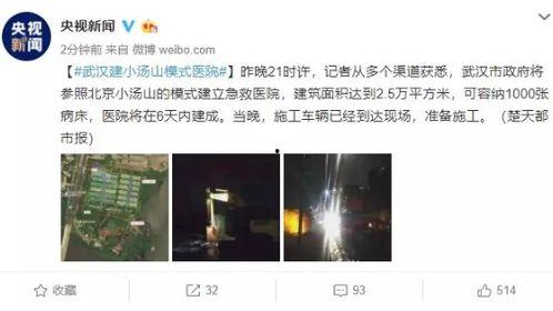 杨某爆料深圳新闻视频,深圳新闻视频背后的真相曝光